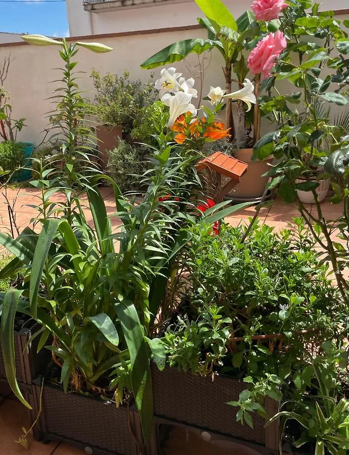 Appartement Figueres Center
