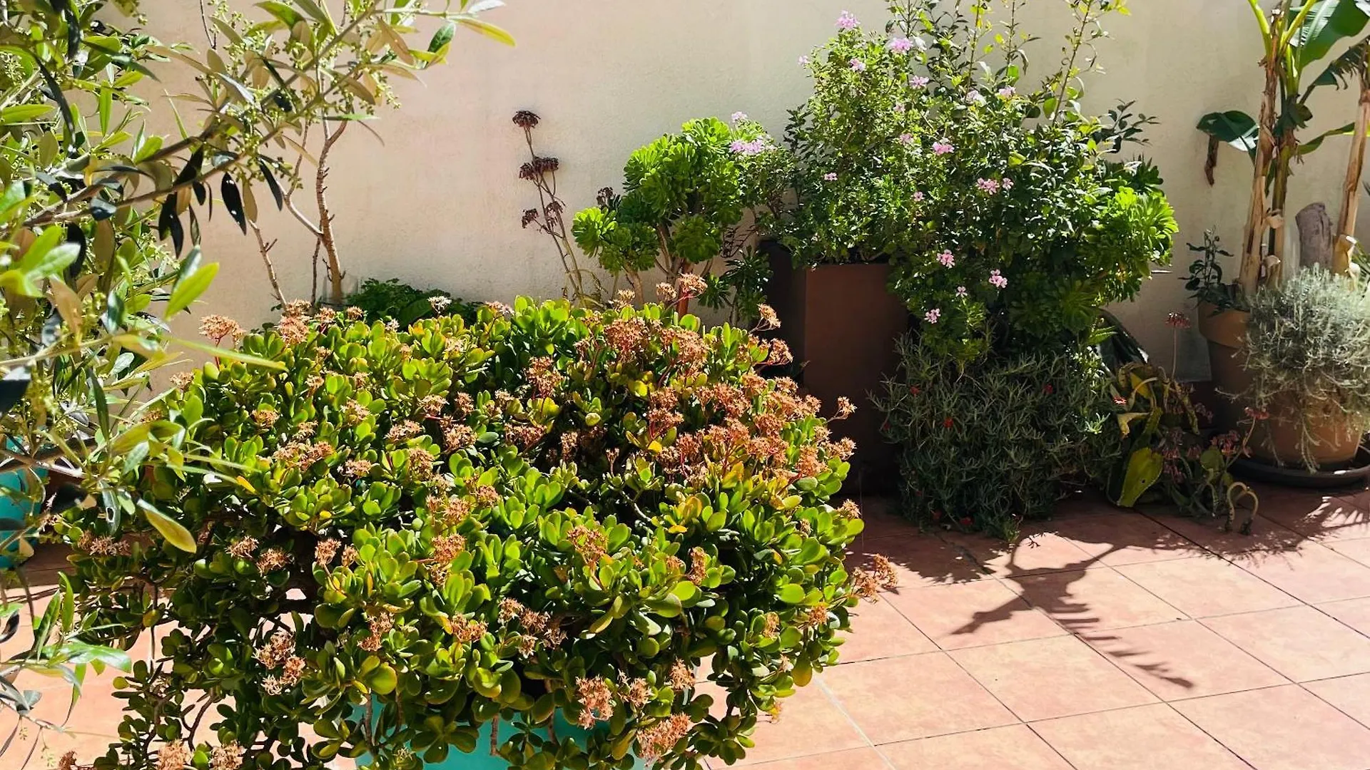 Figueres Center Apartment 0*, Figueres (Girona) Spain